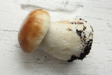 Similar image 7328675