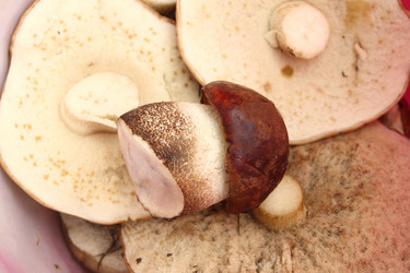 Similar image 7328750