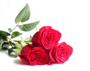 Similar image 7328920