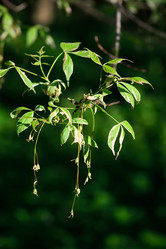 Similar image 7333518