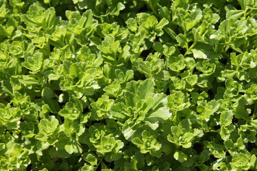 Similar image 7333980