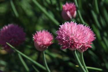 Similar image 7333983