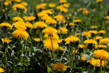 Similar image 7333993