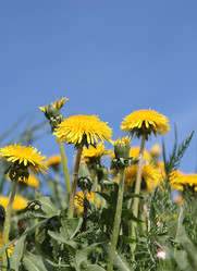 Similar image 7333994