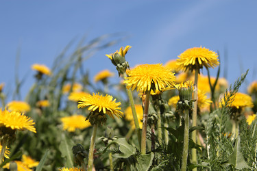 Similar image 7333999