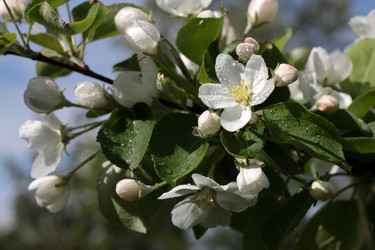 Similar image 7334000