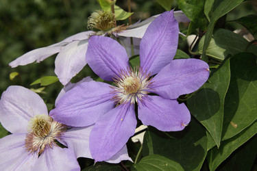 Similar image 7334017