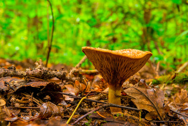 Similar image 7335143