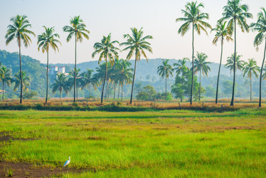 Similar image 7335163