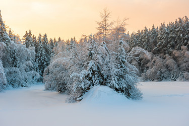 Similar image 7335164