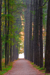 Similar image 7335335