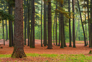 Similar image 7335347