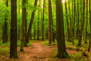 Similar image 7335351