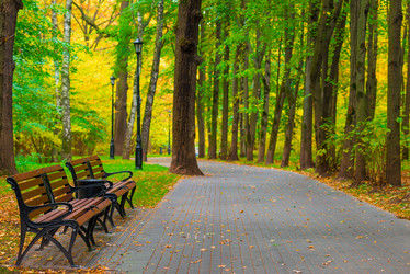 Similar image 7335354