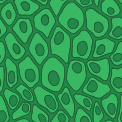 Similar image 7335643