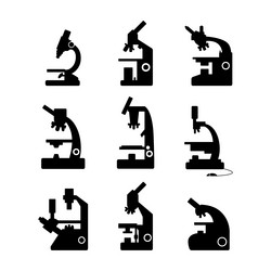 Similar image 7335705