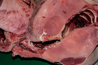 Similar image 7339538