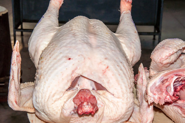 Similar image 7339541