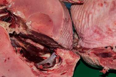 Similar image 7339542