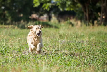 Similar image 7339679