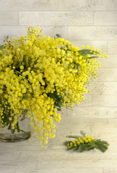 Similar image 7342743