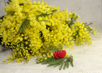 Similar image 7342744