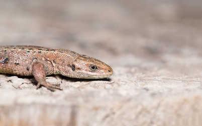 Similar image 7344120