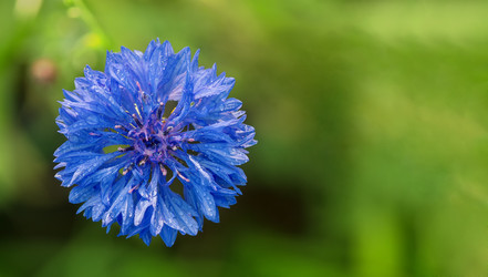 Similar image 7344123