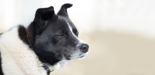 Similar image 7344128