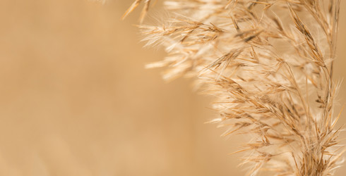 Similar image 7344130