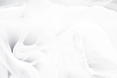 Similar image 7345781