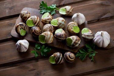 Similar image 7345871