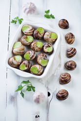 Similar image 7345875