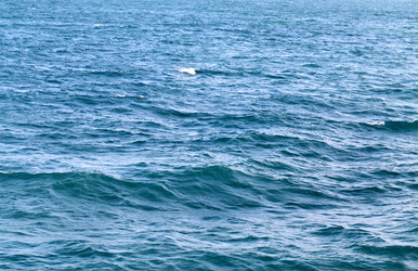 Similar image 7345913