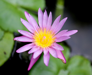 Similar image 7345924