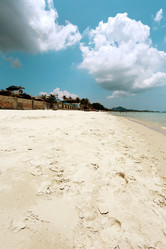 Similar image 7345931