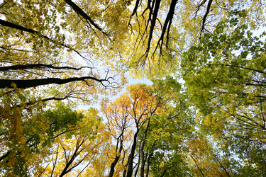 Similar image 7345976