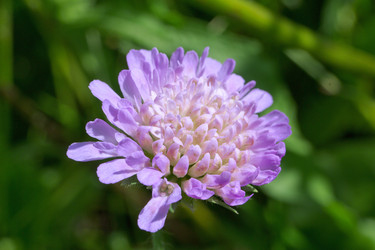 Similar image 7346069