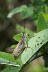 Similar image 7346071