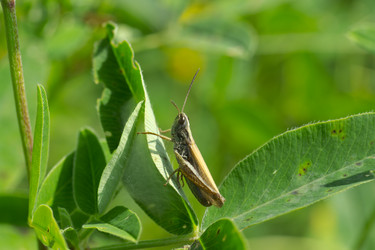 Similar image 7346072