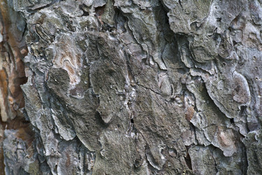 Similar image 7346074