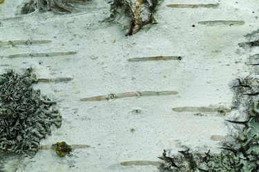 Similar image 7346075