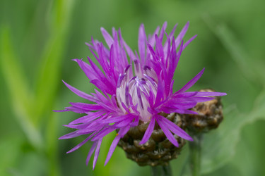 Similar image 7346078