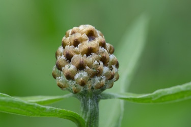 Similar image 7346079