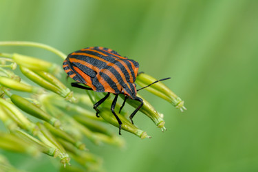 Similar image 7346080