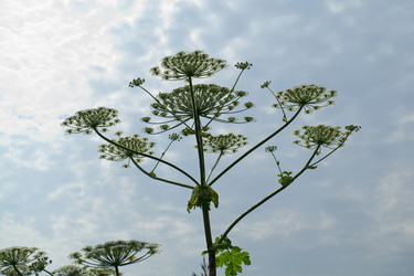 Similar image 7346084