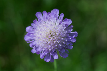 Similar image 7346086