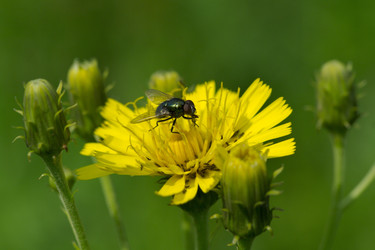 Similar image 7346088