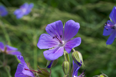 Similar image 7346098