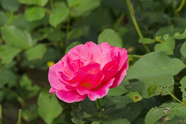 Similar image 7346122